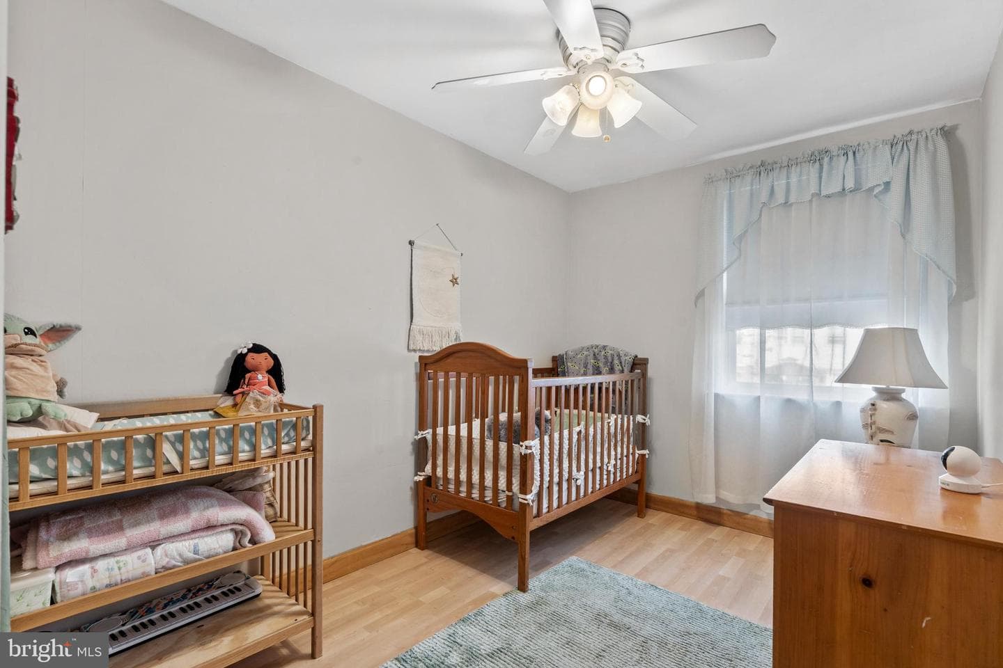 11817 Colman Terrace photo 24