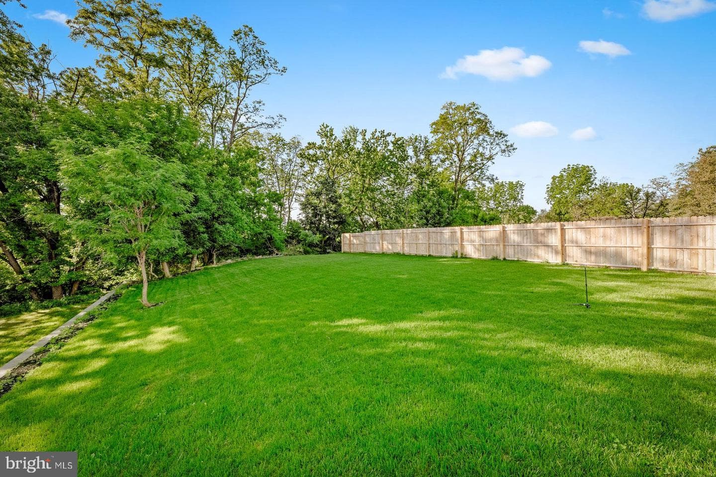 9741 Krewstown Road photo 62