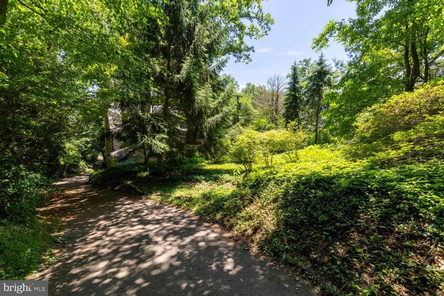 601 W Hortter Street photo 66