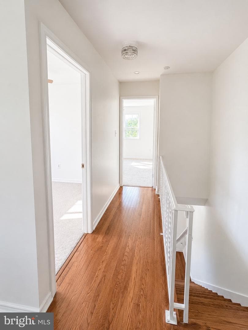 584 Green Lane photo 9