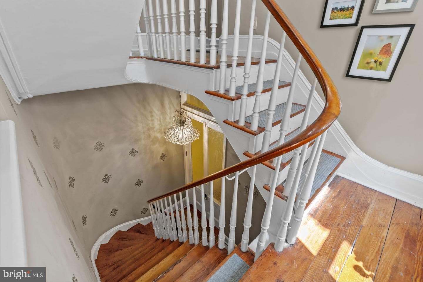 1518 Mount Vernon Street #3 photo 2