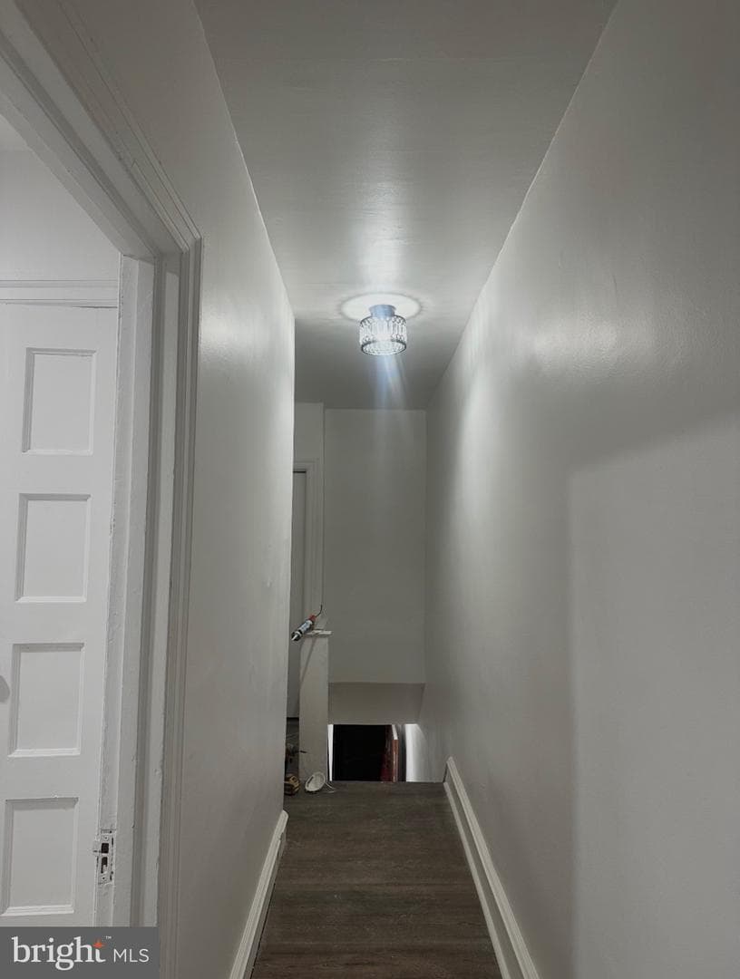 5118 Saul Street photo 7