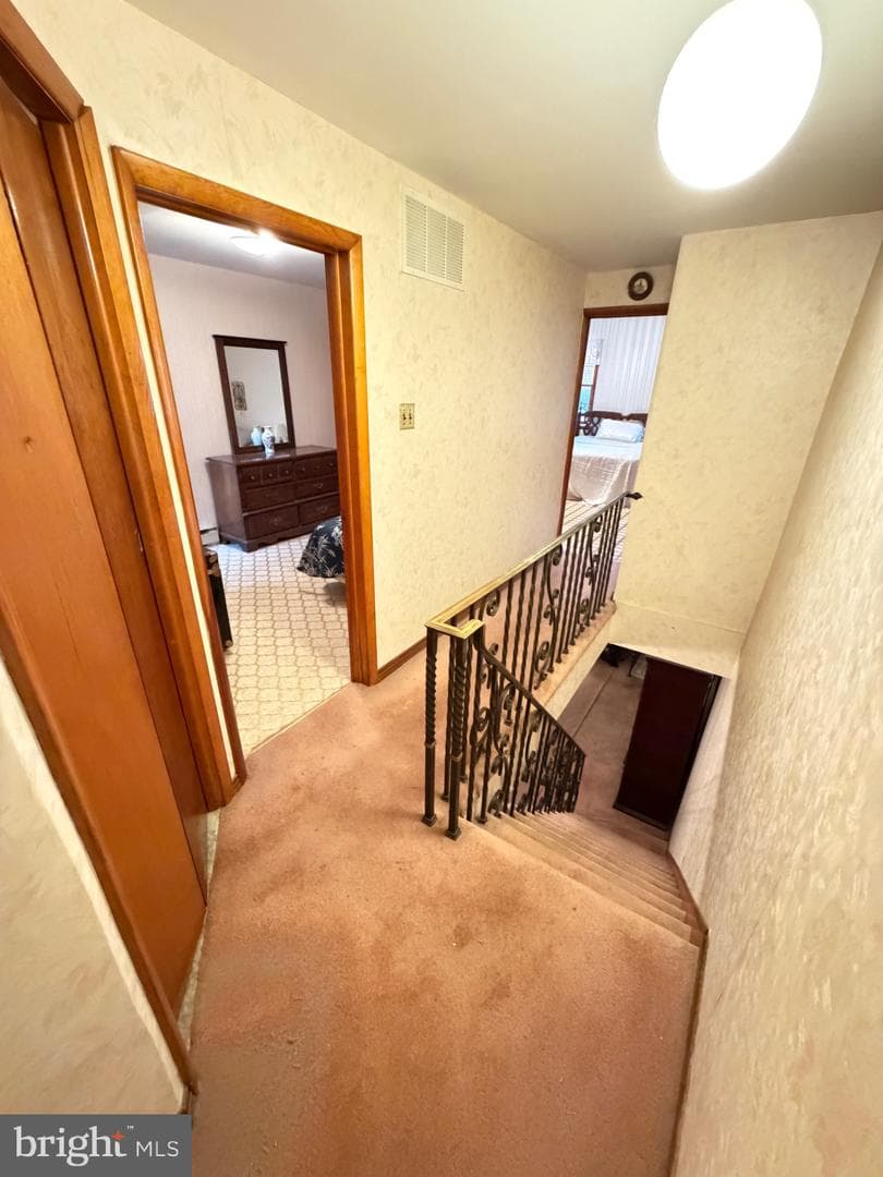 831 Moore Street photo 15