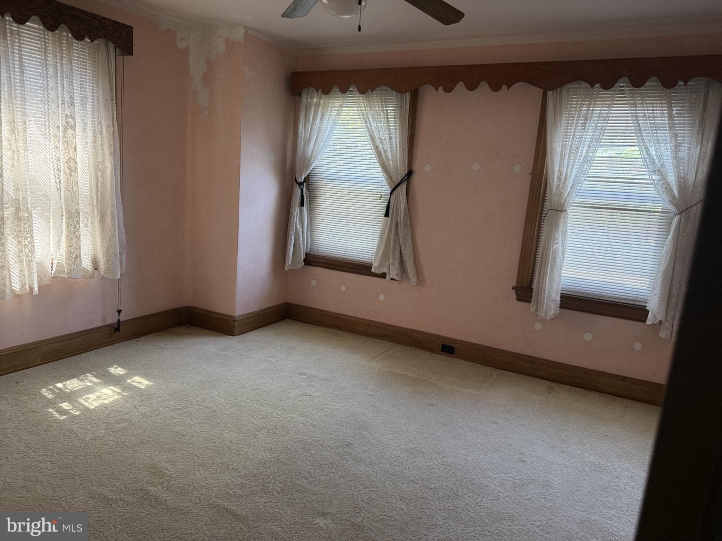 1006 Harrison Street photo 12