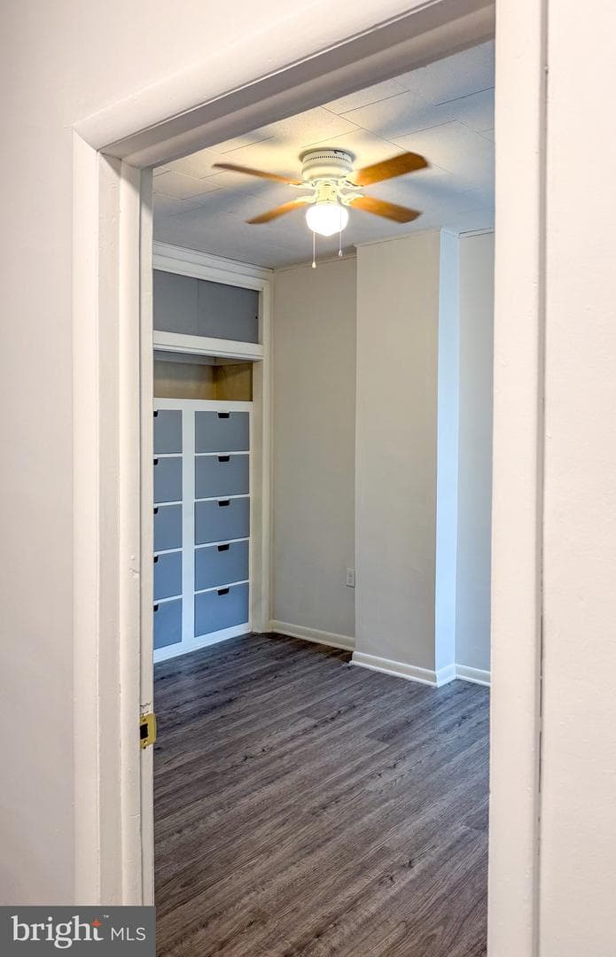 3018 Gaul Street photo 20