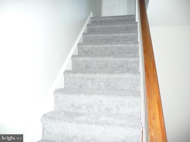 2913 Passmore Street photo 24