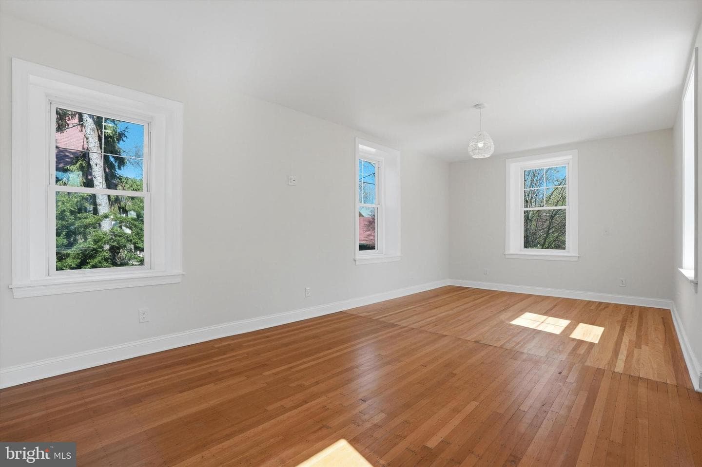 29 Pelham Road photo 19