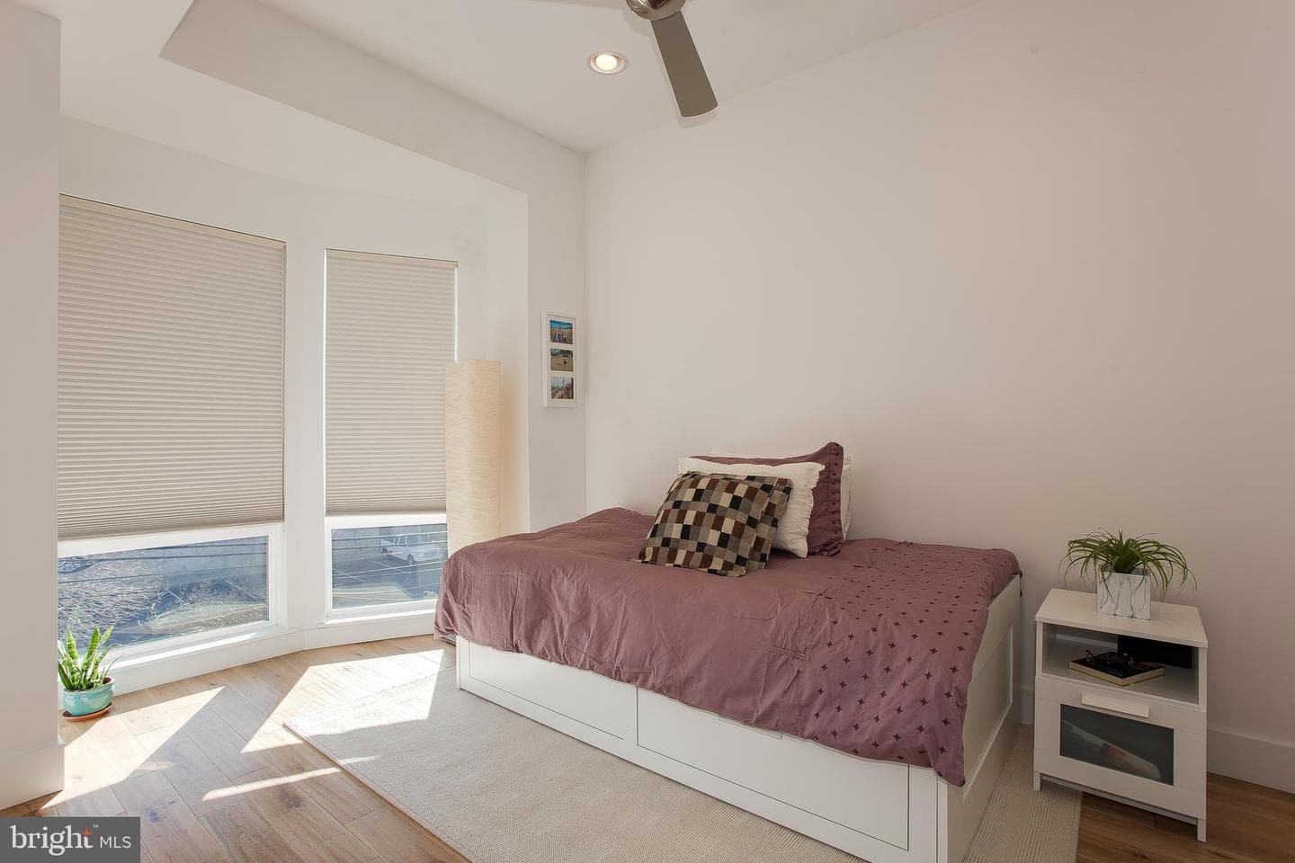 301 Brown Street #a photo 14