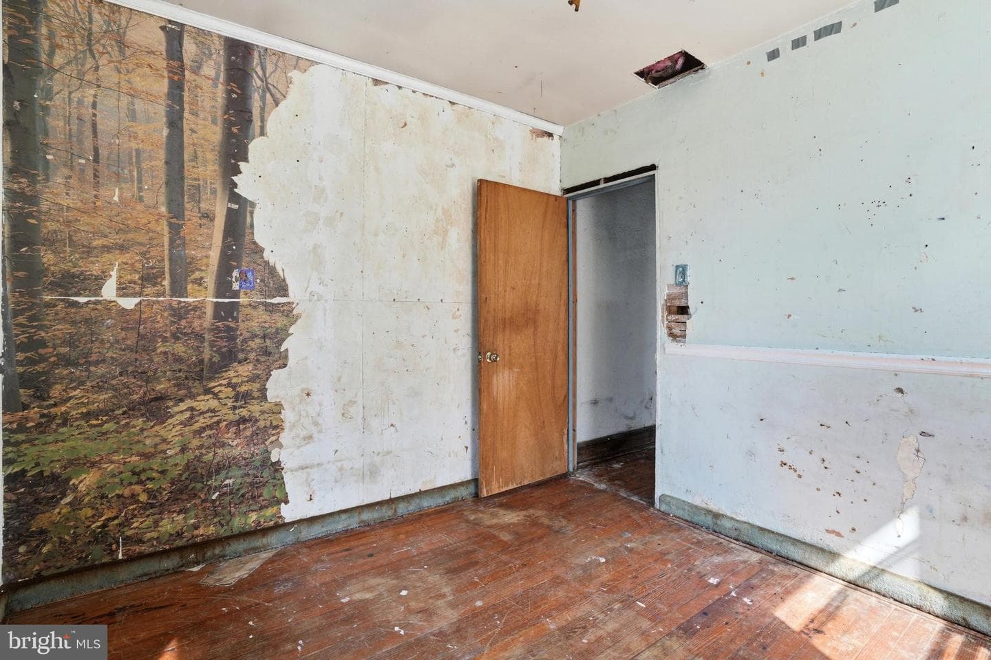 6154 Walker Street photo 17