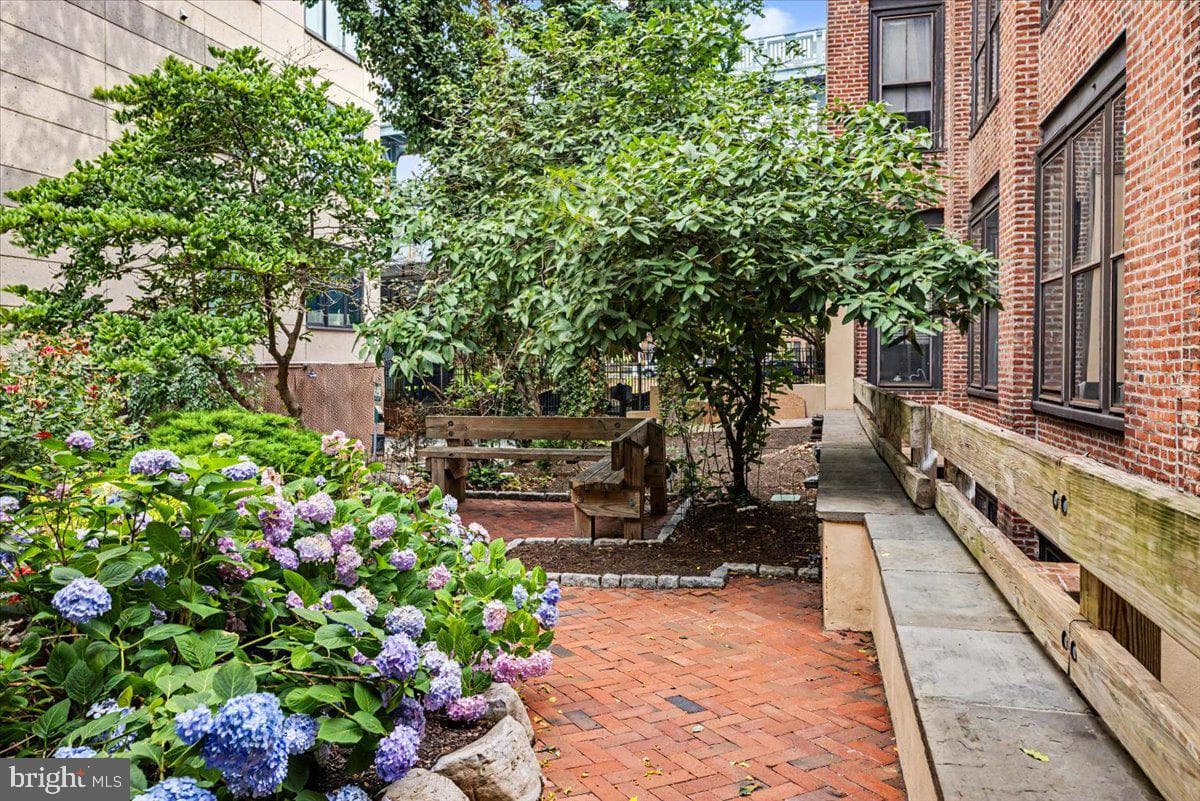 301 Race Street #316 photo 21