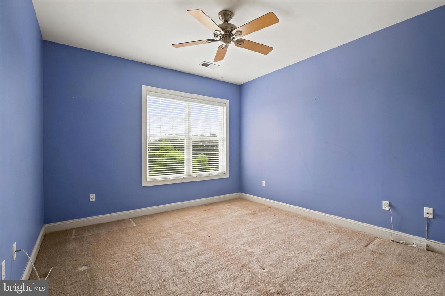 200 Ernest Way #236 photo 13