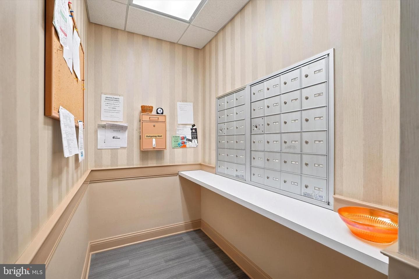200 Ernest Way #236 photo 3