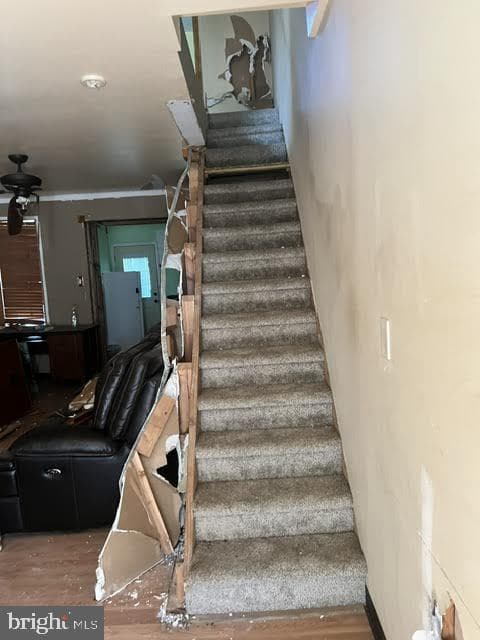 3130 Weikel Street photo 4