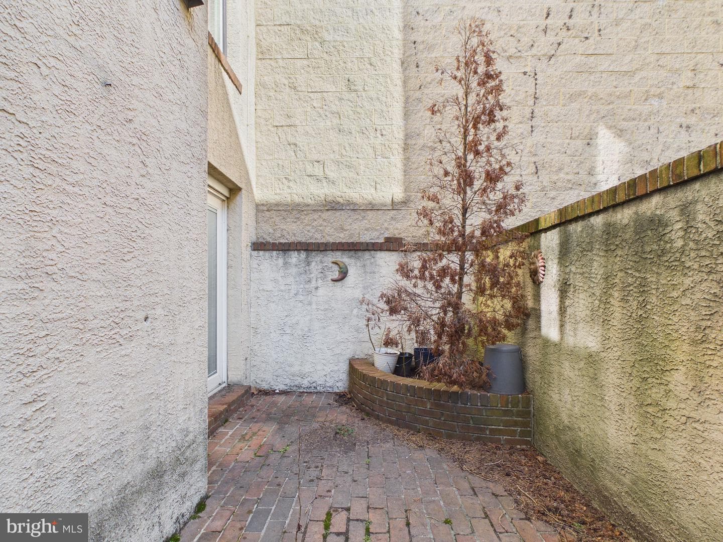 2036 Appletree Street photo 8