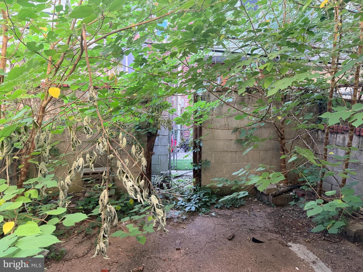 1710 S 24th Street photo 16