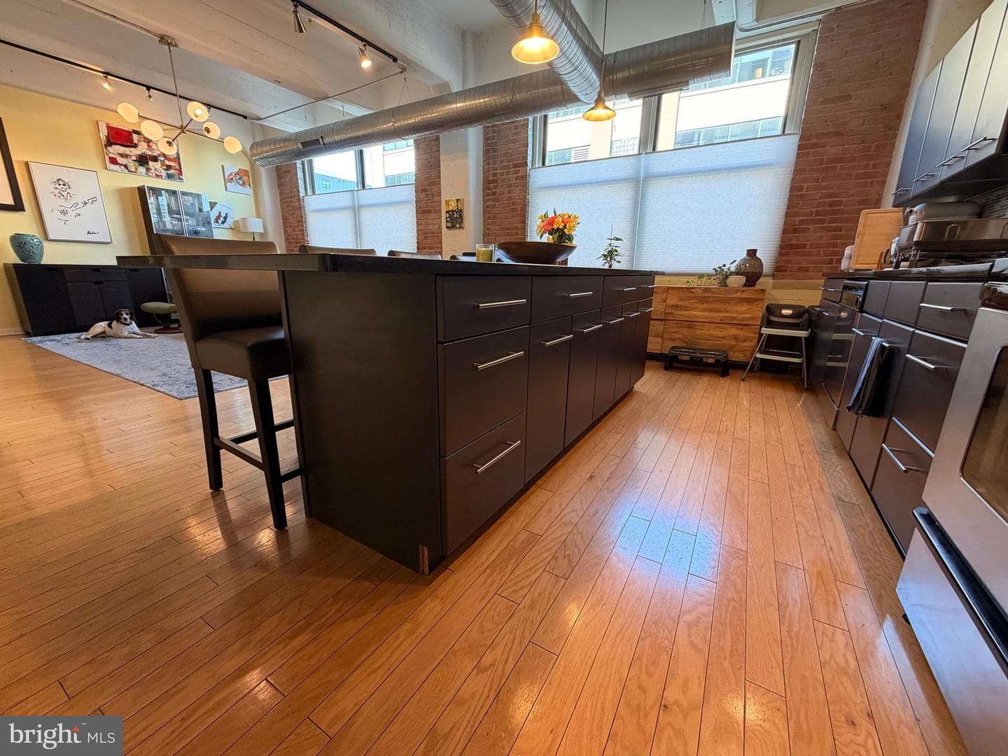 444 N 4th Street #202 photo 13