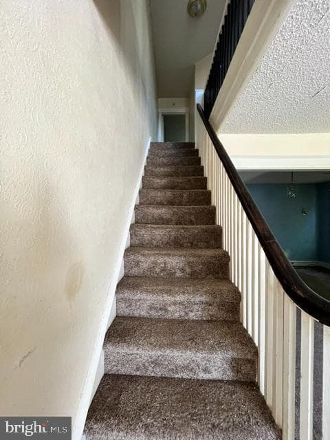 7514 Tabor Avenue photo 13