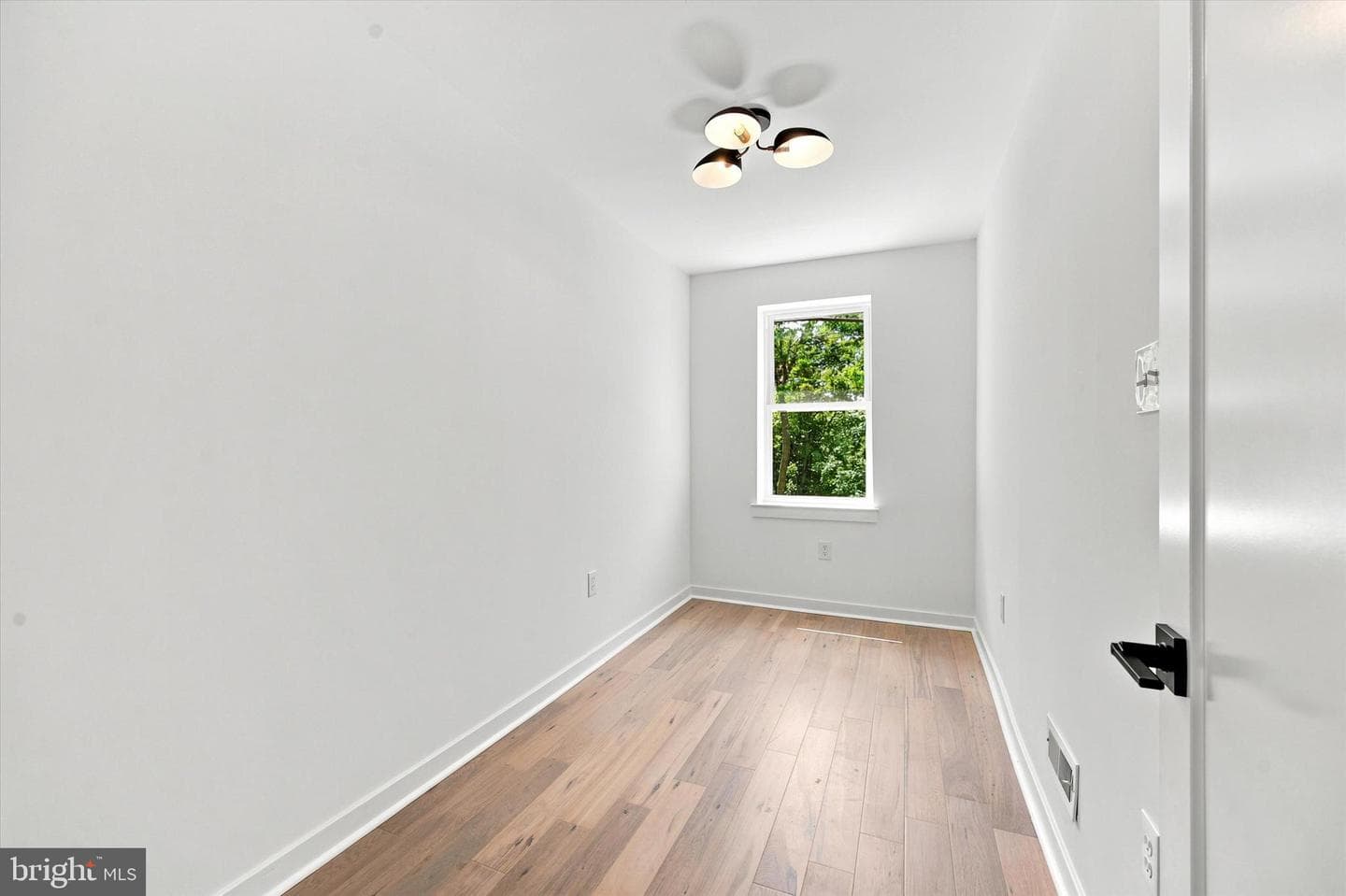 258 Rochelle Avenue photo 23