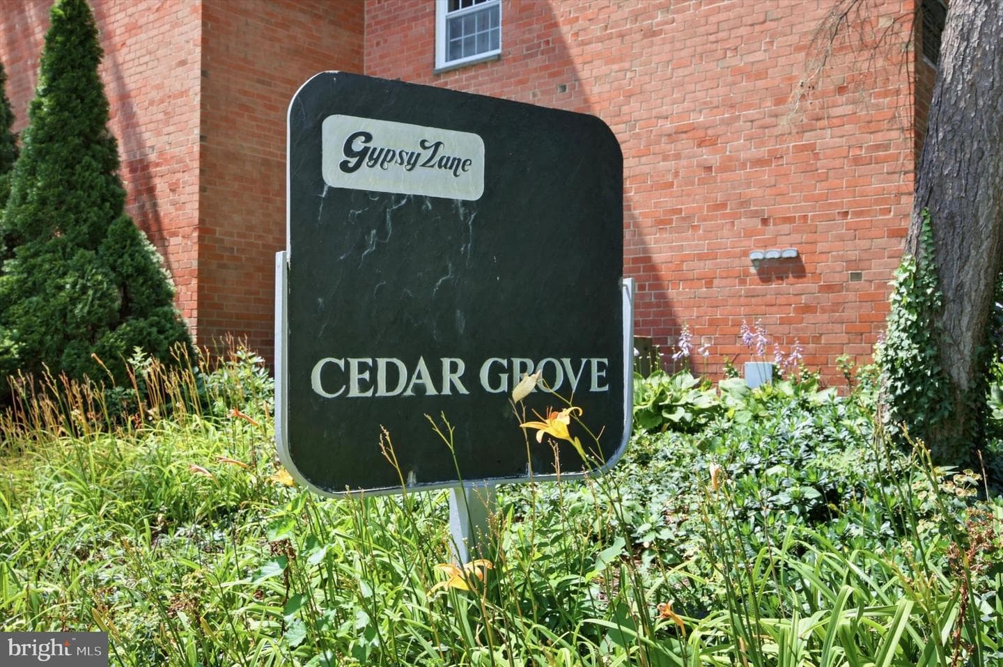 4000 Gypsy Lane #630 photo 25