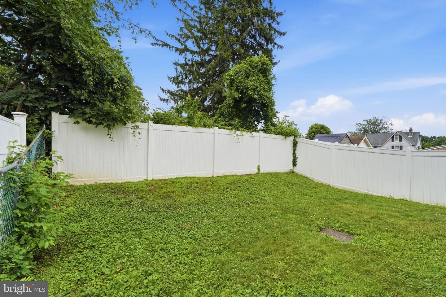 8206 Burholme Avenue photo 29
