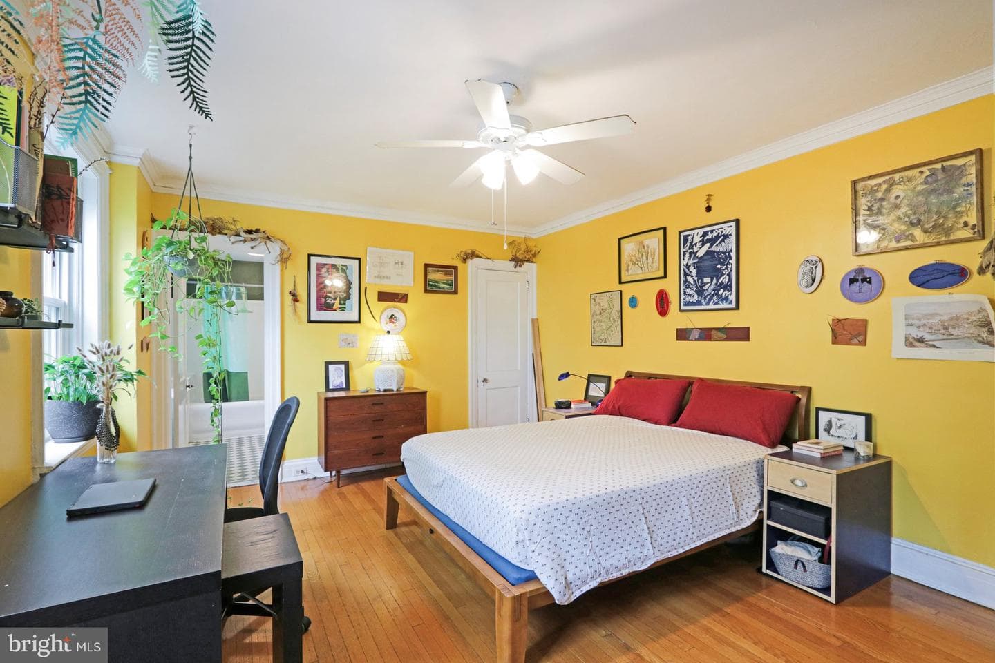 4637 Pine Street #d511 photo 17