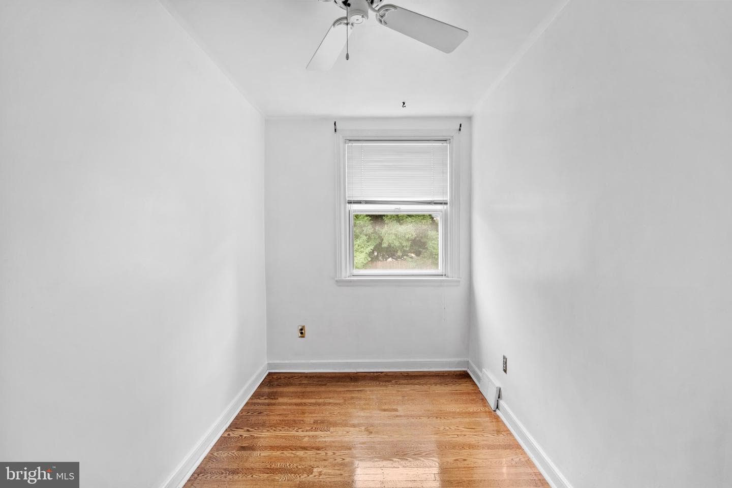 7645 Burholme Avenue photo 17