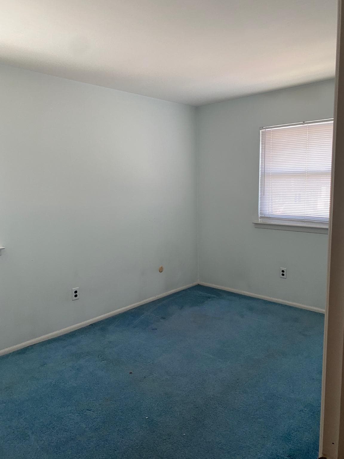 8909 Lewin Place photo 13