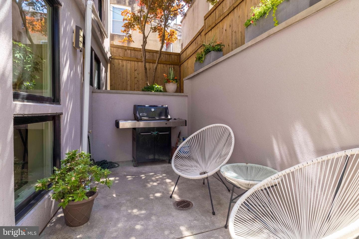 808 Carpenter Street #c photo 41