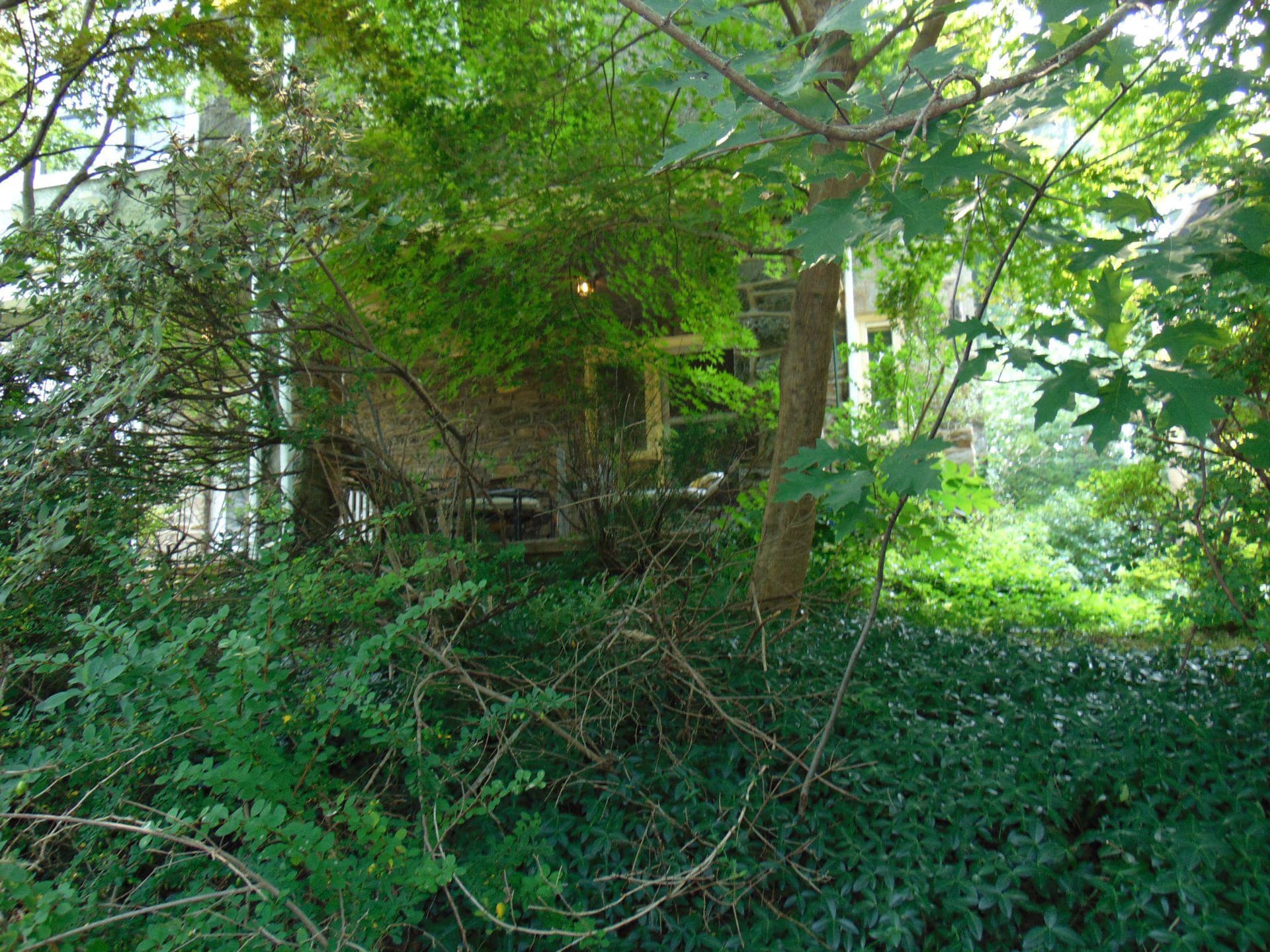 604 East Allens Lane photo 3