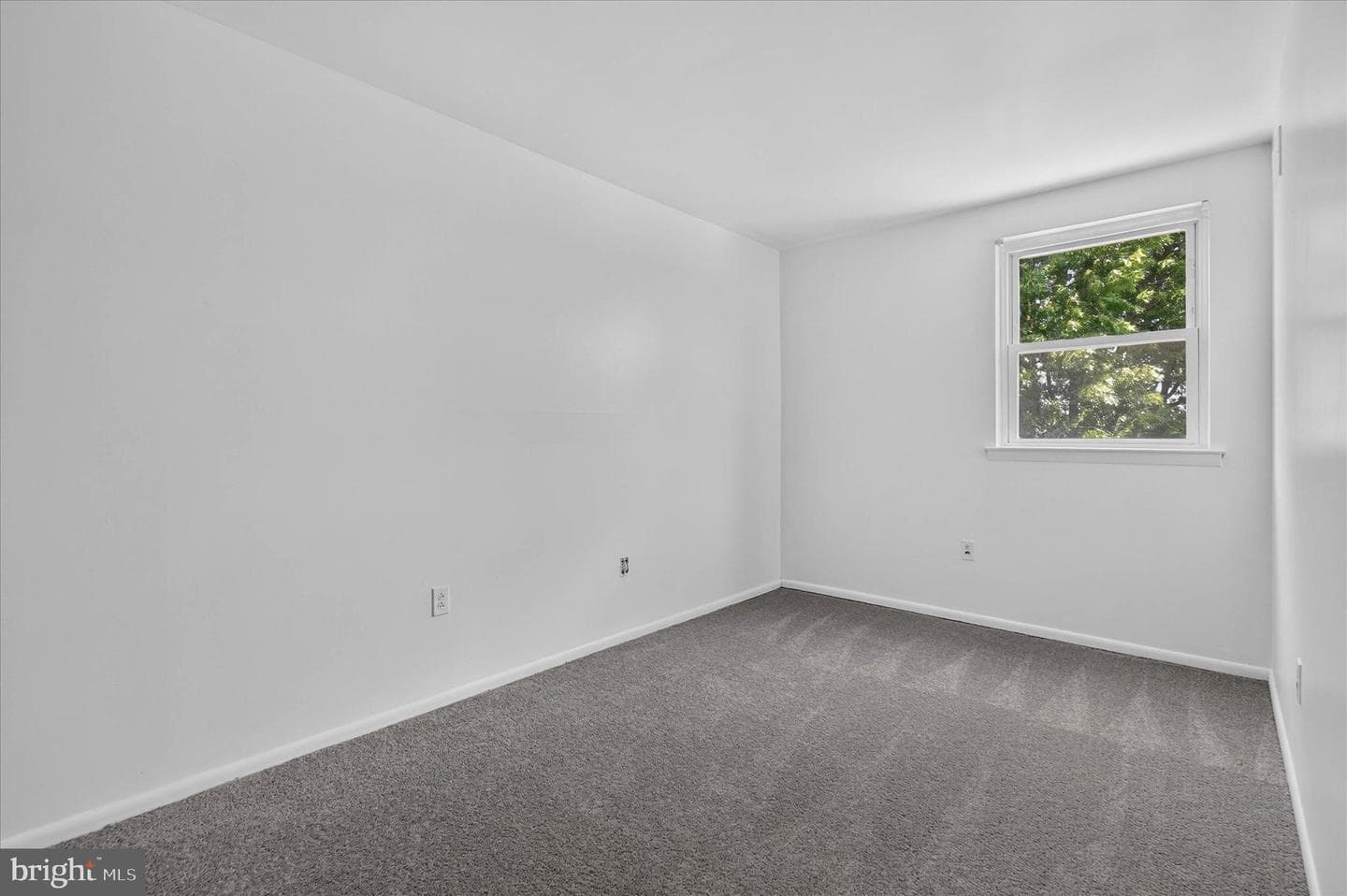 4209 Lackland Place photo 28