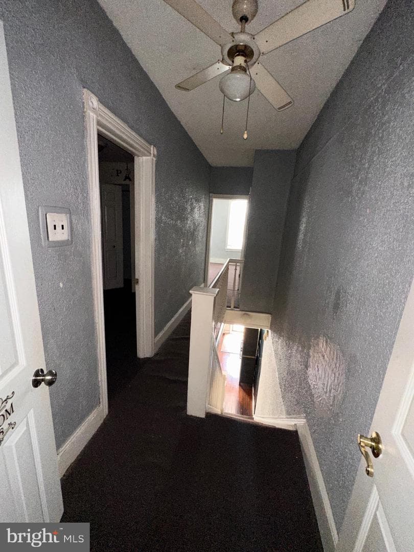 2209 Pierce Street photo 10