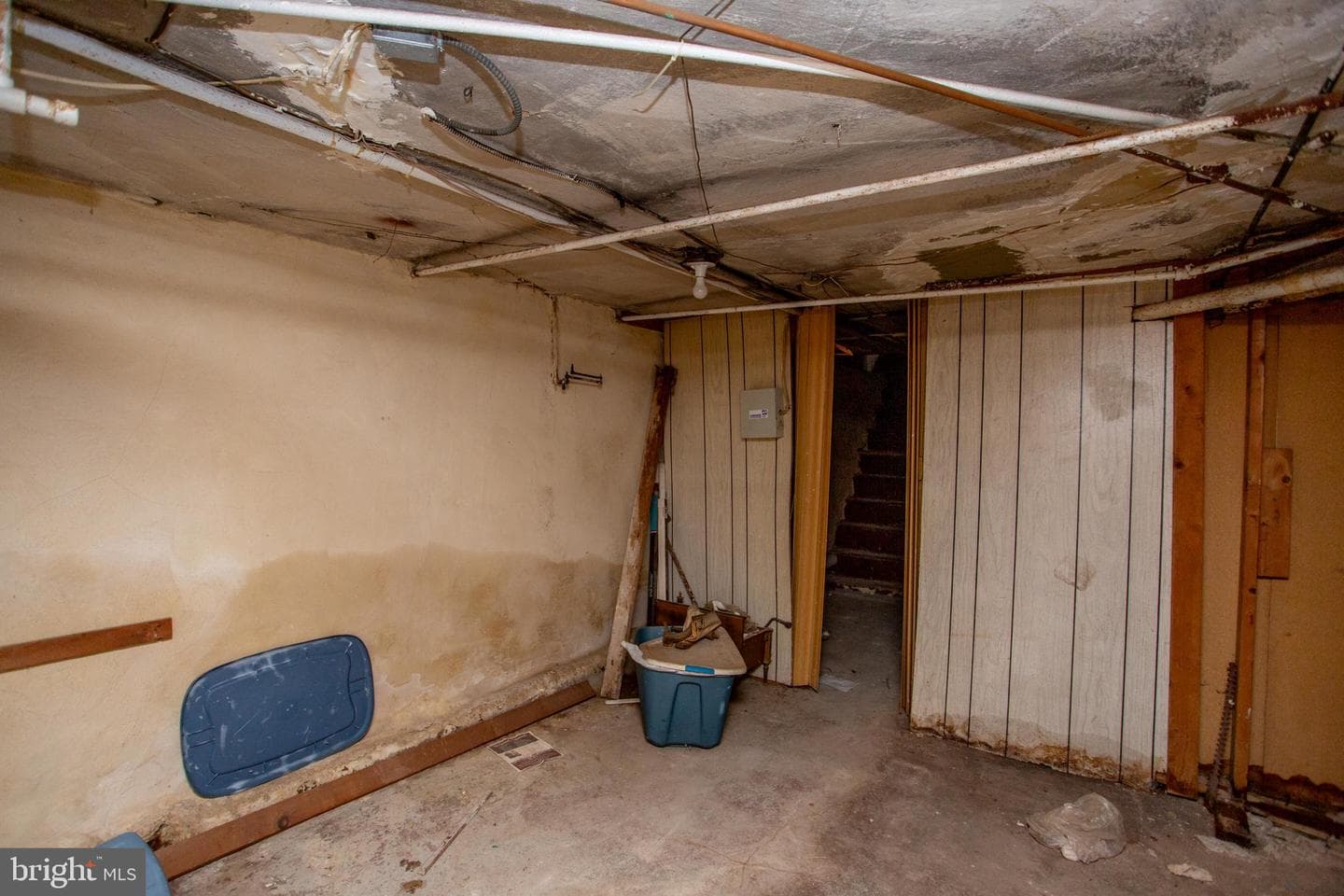 814 E Woodlawn Street photo 58