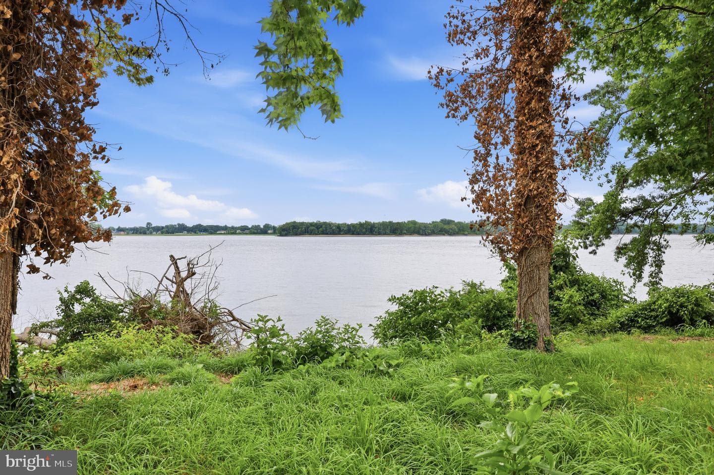 55204 Delaire Landing Road #204 photo 26