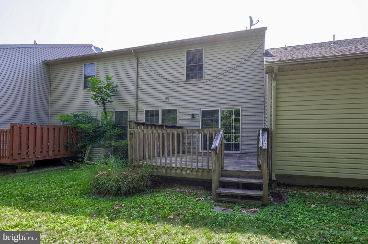 232 Whitetail Ter photo 28