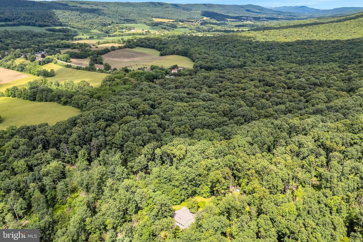 160 Millers Gap Road photo 48
