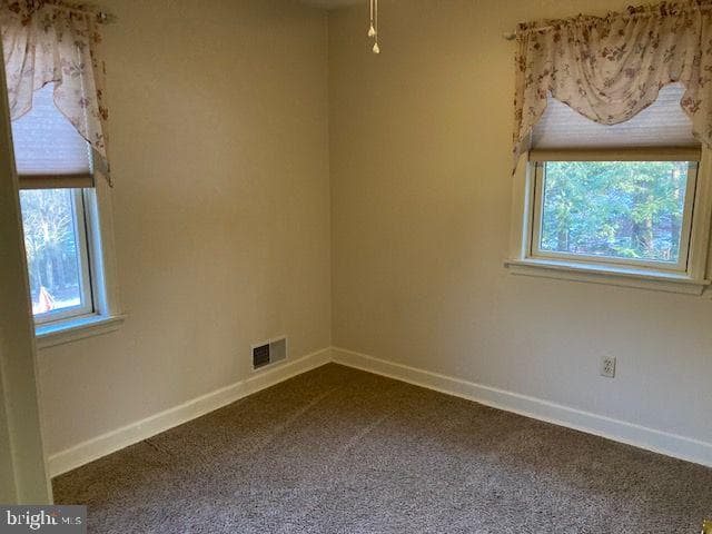 213 Norwegian Woods Drive photo 28