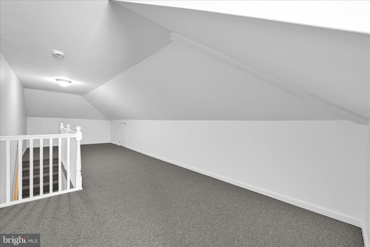 8 N Wolfe Street photo 23