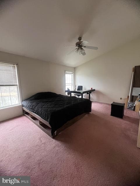 4102 Brookside Ct photo 10