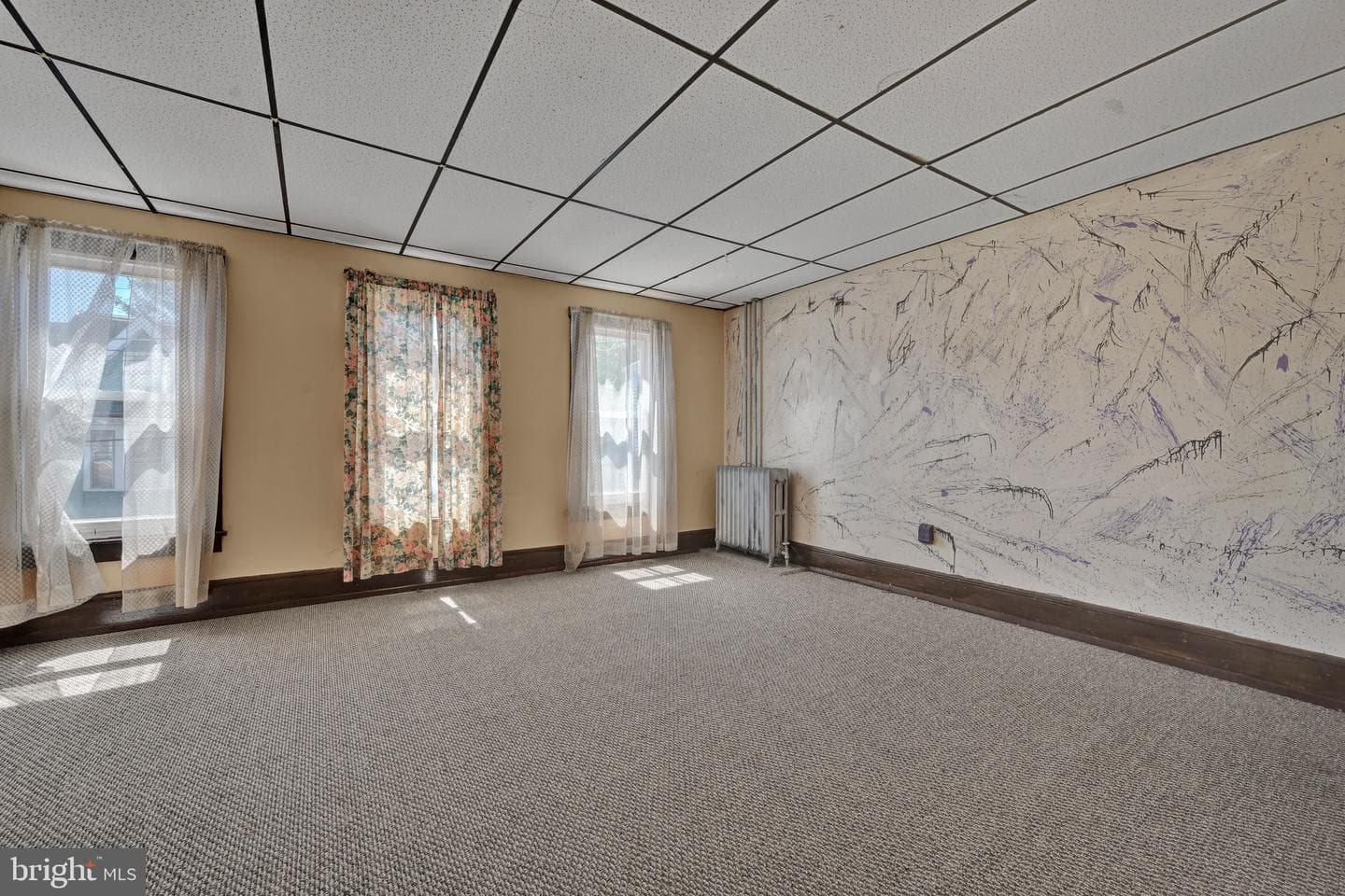 610 W Race Street photo 22