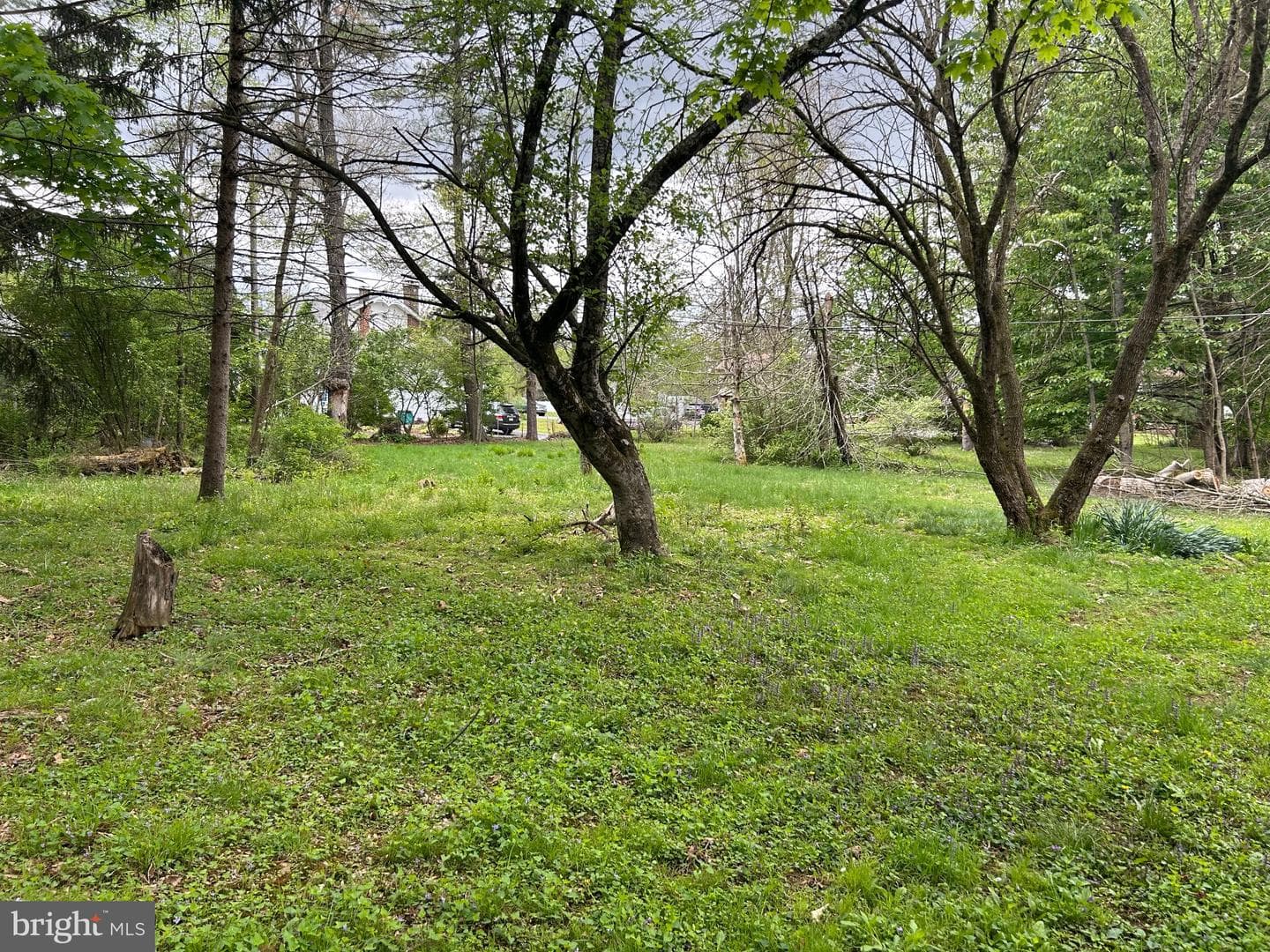 0 Maple Boulevard photo 4