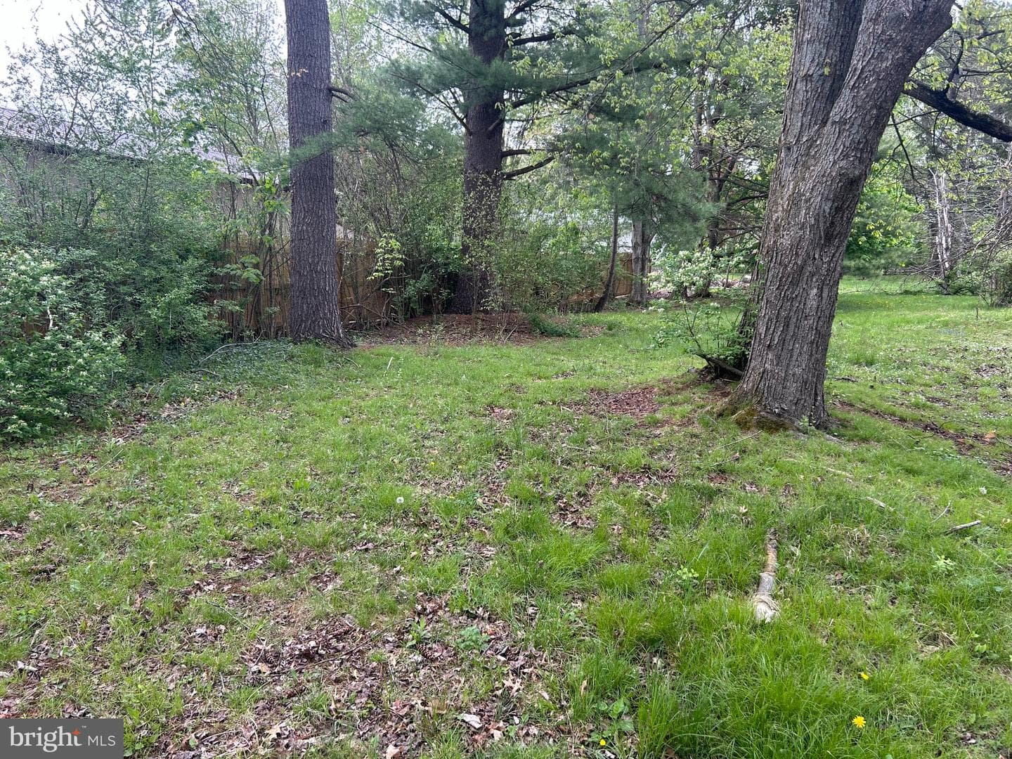0 Laurel Road photo 8