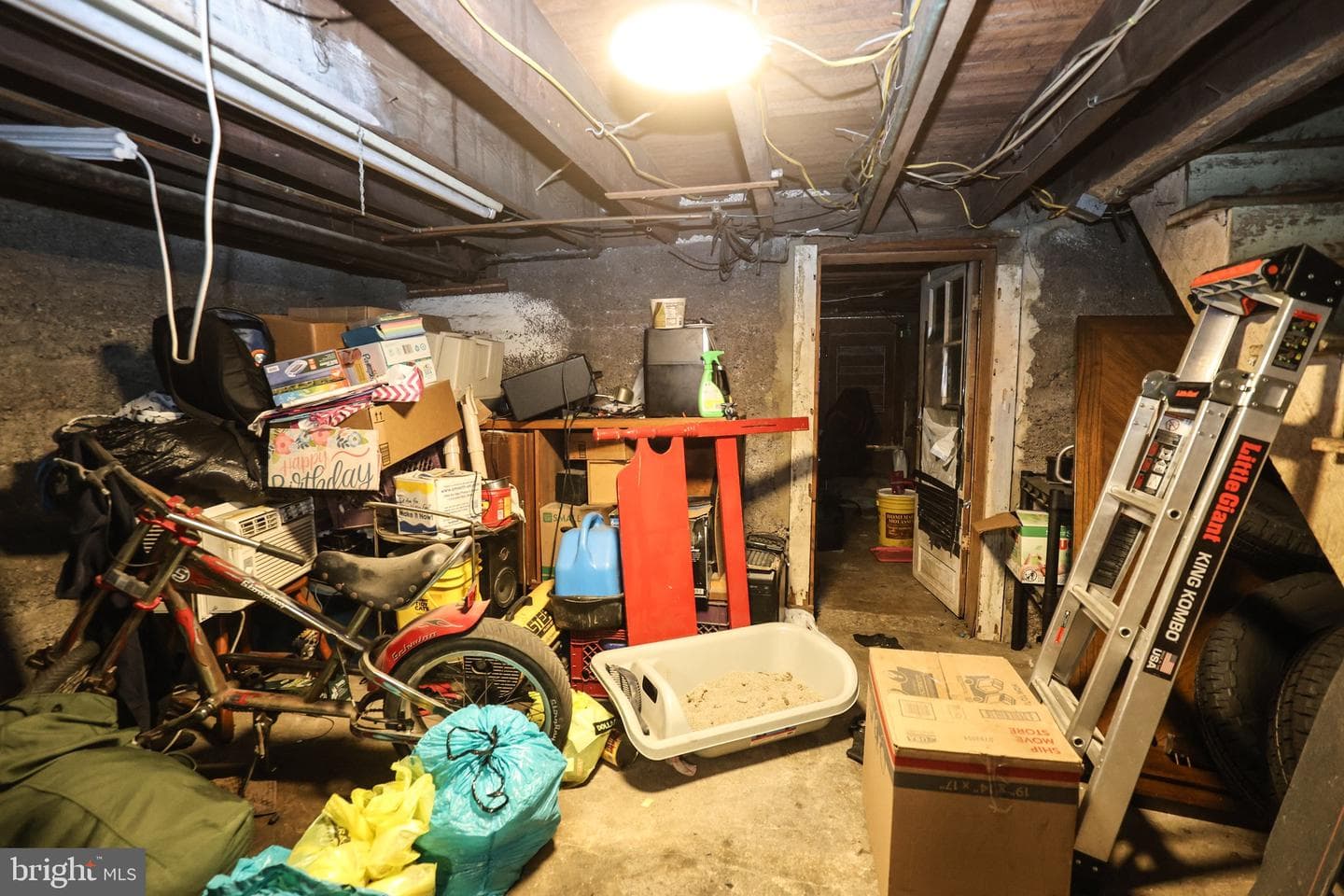 13 Lewis Street photo 15