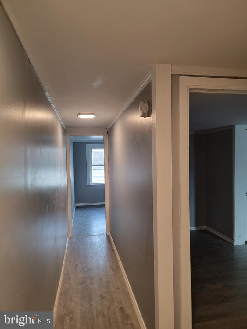 437 Morgan Ave photo 13