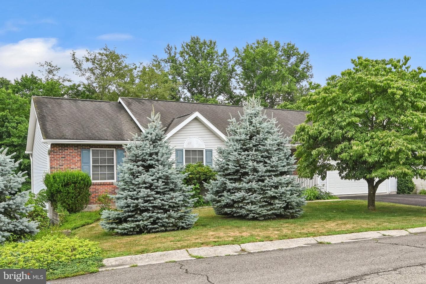 266 Forest Road photo 6