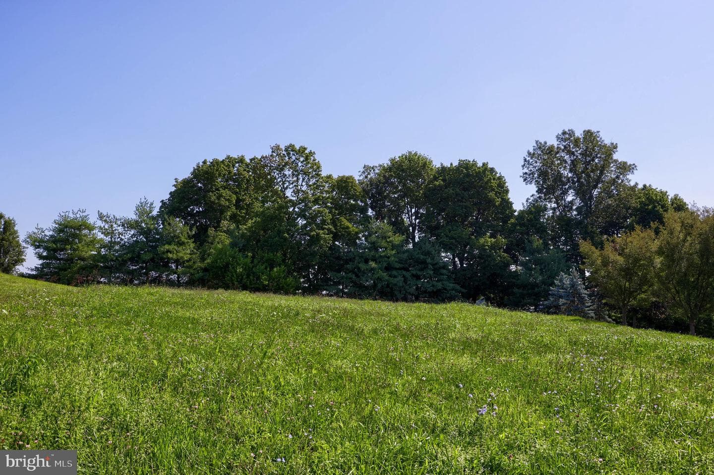 St. Michaels Model 540 Monocacy Trail photo 28