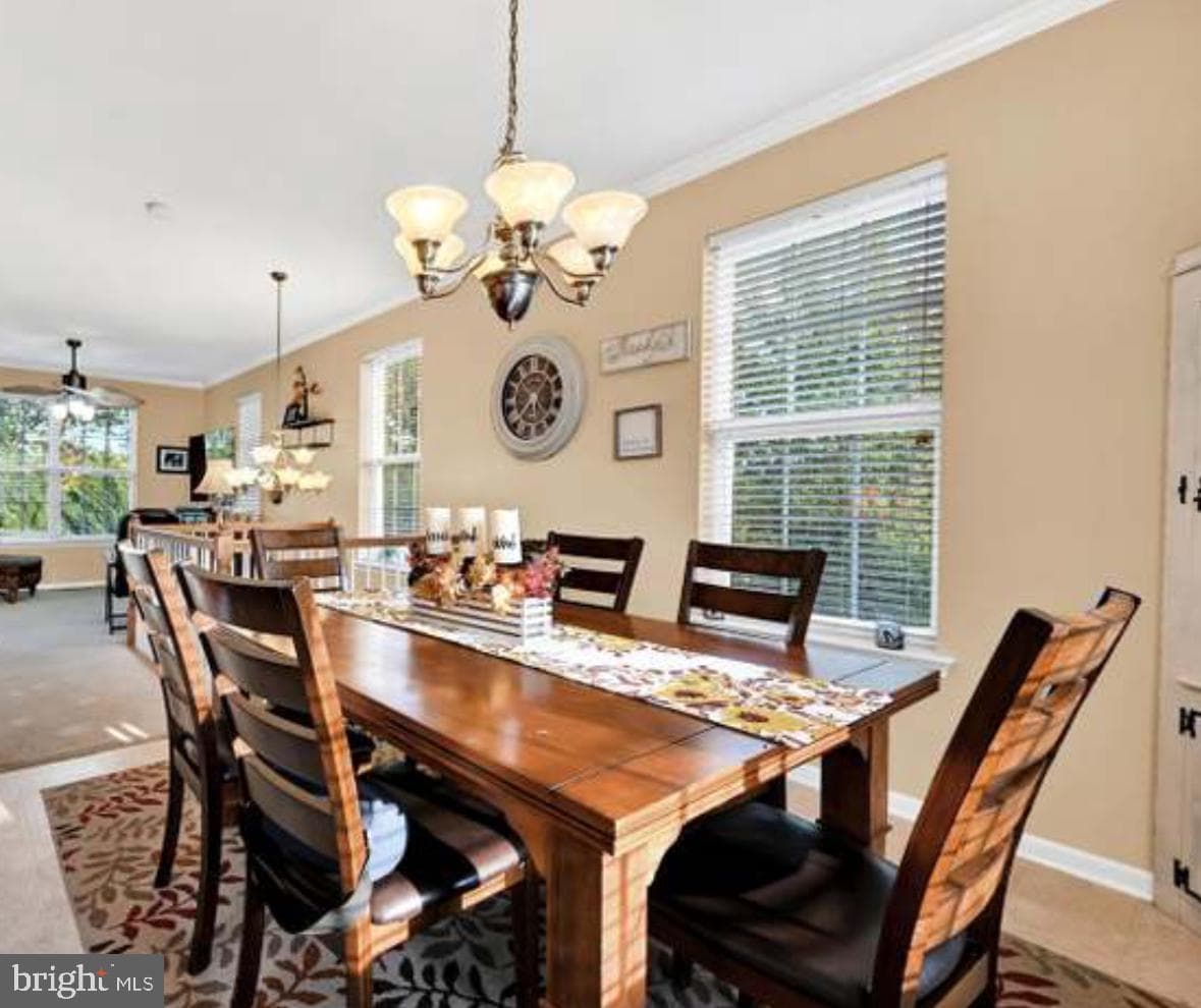 427 Marion Road #427 photo 21