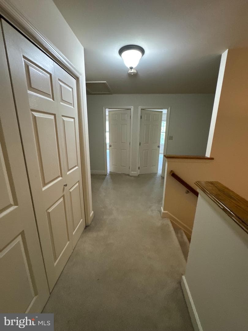 142 Scully Place photo 10