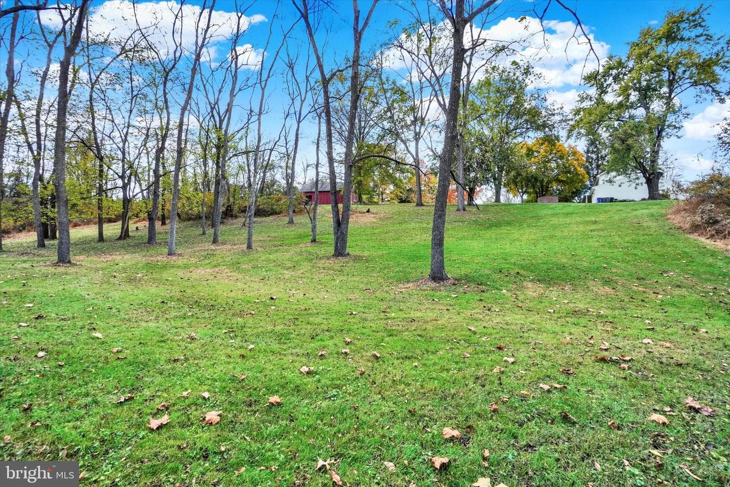85 Redstone Drive photo 38