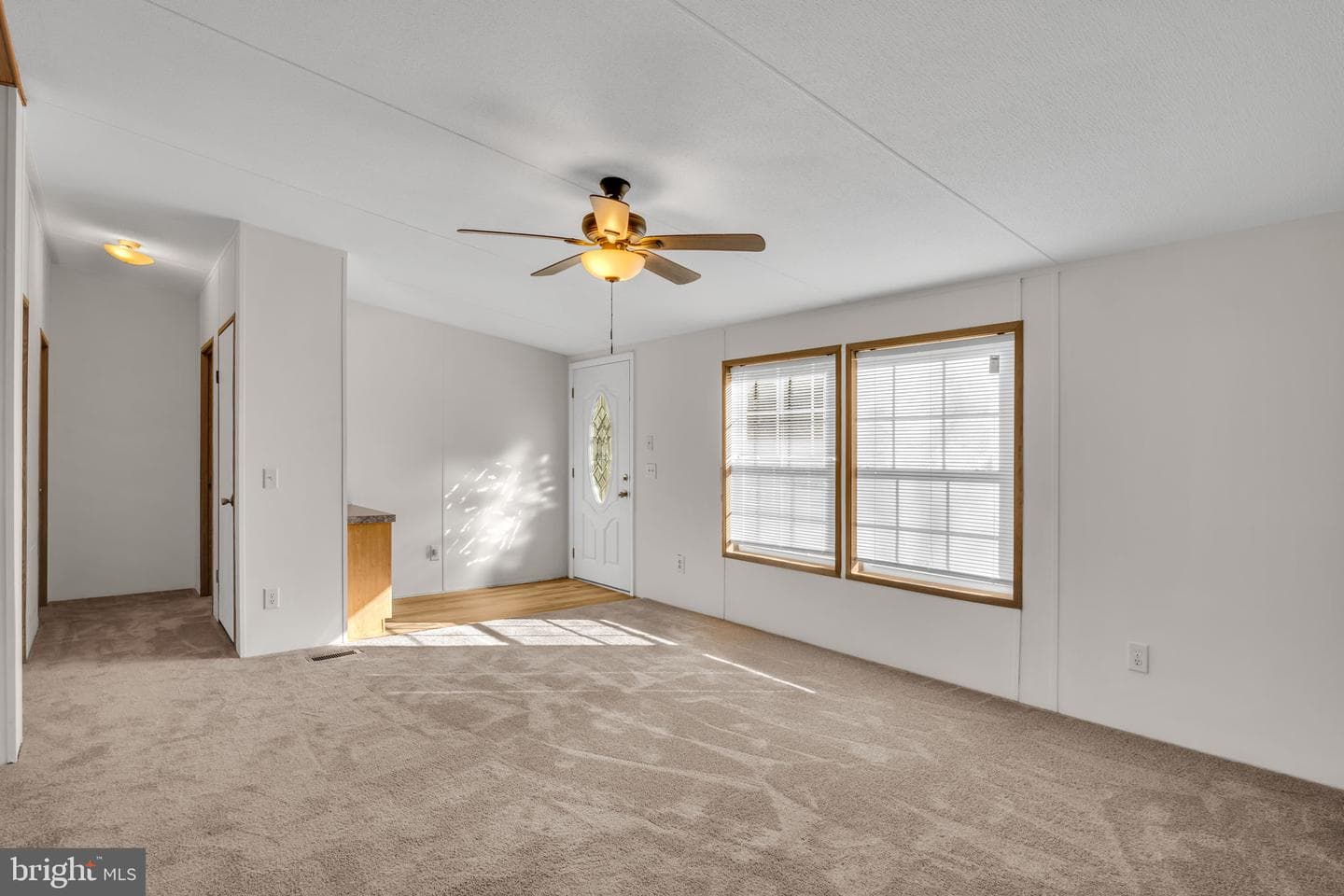 11 Tyler Drive photo 20