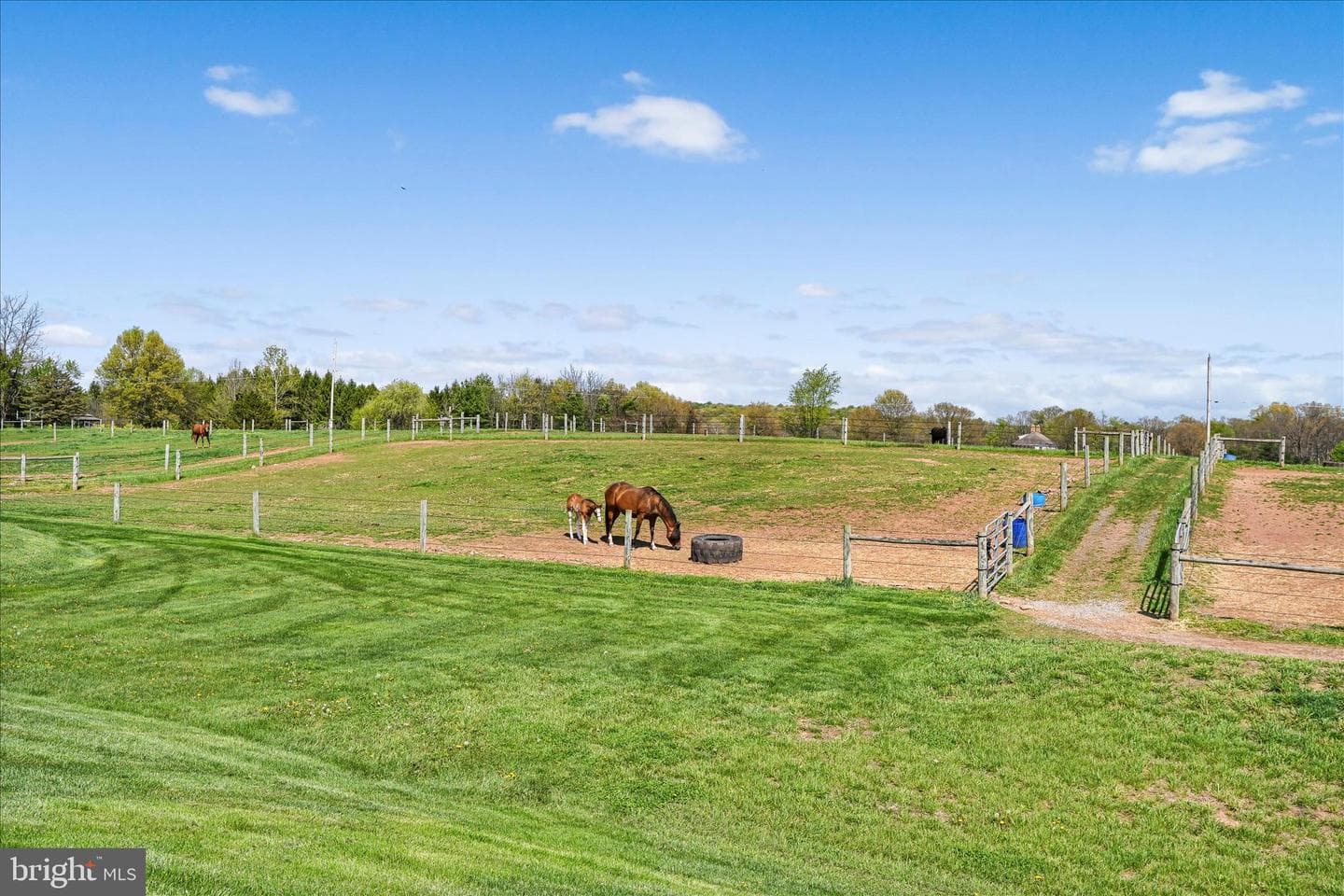 145 Franklintown Road photo 41